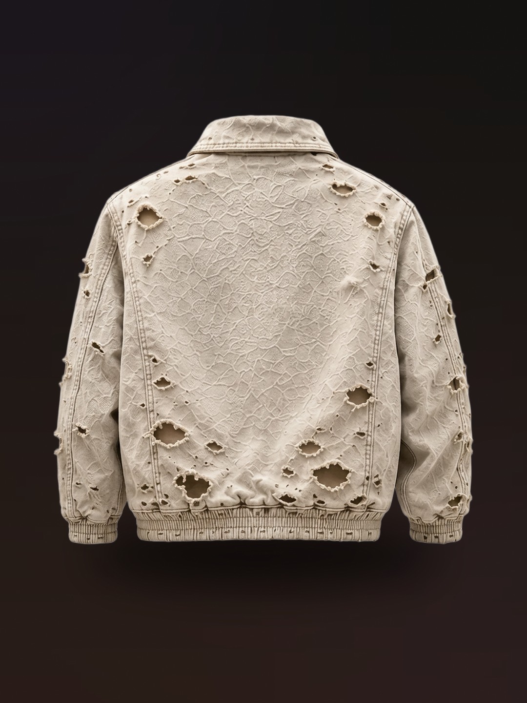 Young Wealth Distressed Jacket, back